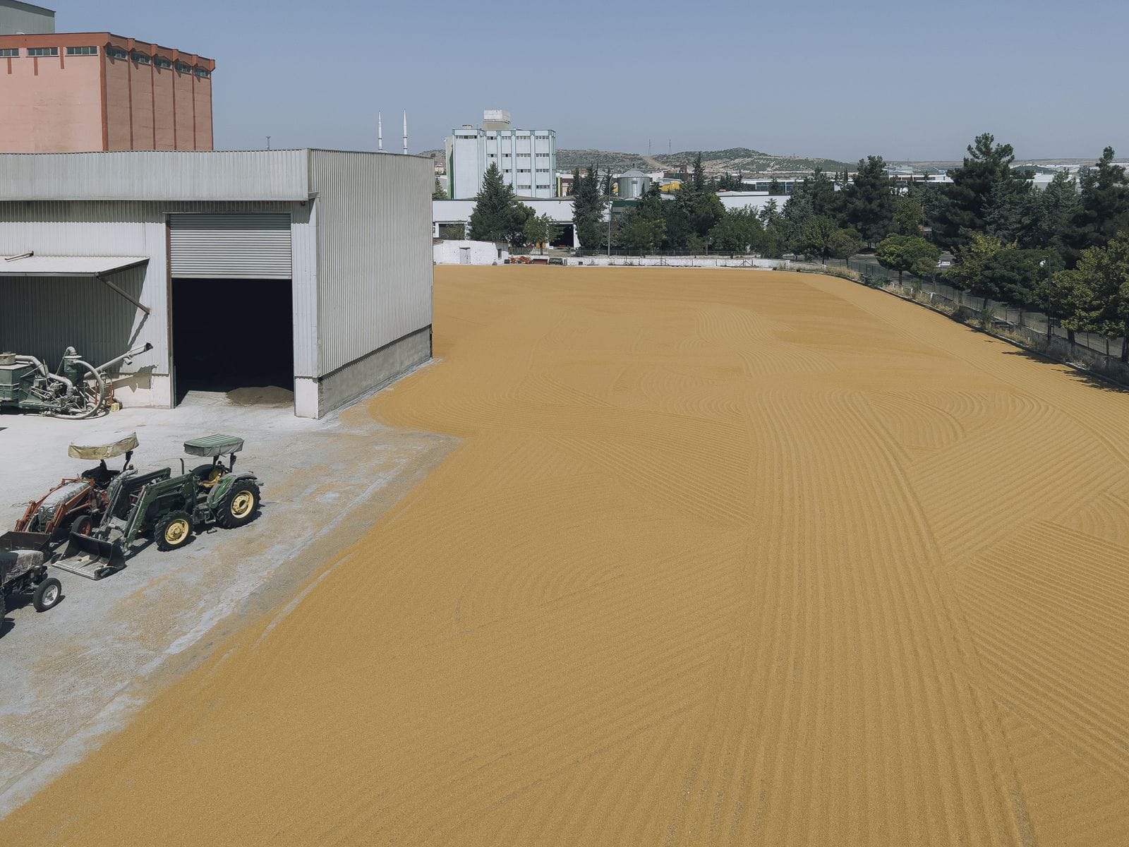 Agricultural produce spread to dry in a large yard beside a processing facility